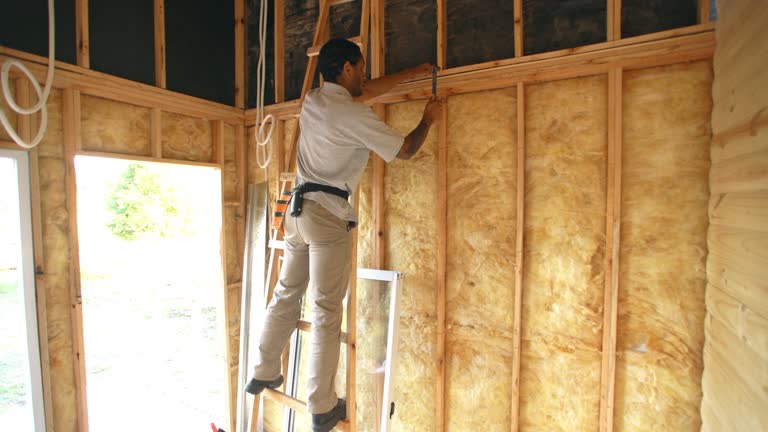 Best Attic Insulation Installation  in West View, PA